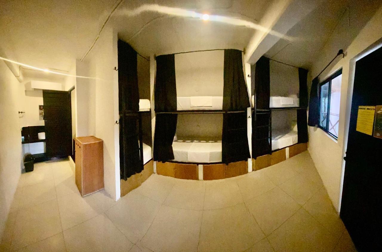 Why Not Rooftop Party Hostel Playa del Carmen Ngoại thất bức ảnh